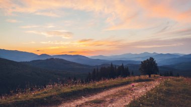 Karpat dağlarında güzel bir günbatımı. Yaz Ukrayna manzarası. Çiçeklerle çevrili karanlık gökyüzü vahşi doğanın üzerinde.