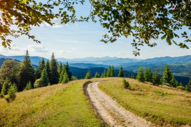 Karpat dağlarının güzel manzarası. Yaz Ukrayna manzarası. Orman yolu olan vahşi doğanın üzerindeki mavi gökyüzü. Turizm