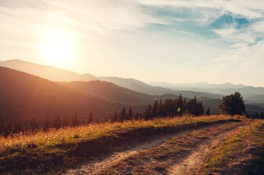 Karpat dağlarında güzel bir günbatımı. Yaz Ukrayna manzarası. Çiçeklerle çevrili karanlık gökyüzü vahşi doğanın üzerinde.