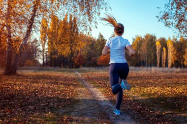 Sonbahar parkında koşucu eğitimi. Gün batımında spor kıyafetlerle koşan genç bir kadın. Aktif yaşam tarzı. Arkadan bak. Egzersiz