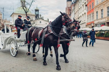 KRAKOW, POLAND - 7 Mart 2020 Pazar meydanında at arabası gezisi. Şehir merkezinde siyah madalyalı atlar arabacı ile koşuyor.