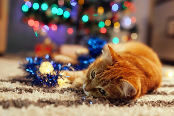自宅でクリスマスツリーの下でガーランドとチンセルで遊んで生姜猫 クリスマスと新年のコンセプト — ストック写真