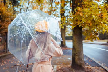 Sonbahar kıyafetleri ve aksesuarları içinde şık bir kadın yağmur altında şeffaf şemsiye altında dışarıda yürüyor. Sonbahar mevsimi havası. Arka plan