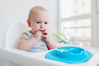 Evde sandalyede oturan küçük bebek elleriyle yemek yiyor. Çocuk plastik tabaktan meyve tadıyor. Çocuklar için yiyecek.