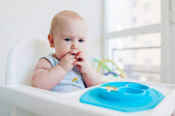 stock image Little infant baby eating with hands sitting in chair at home. Kid tastes fruits from plastic plate. Food for children