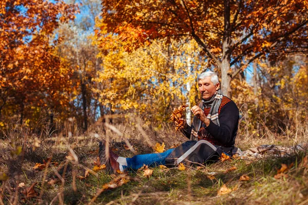 Sênior Sozinho Sentado Parque Apanhar Folhas Amarelas Homem Aposentado Relaxante — Fotografia de Stock