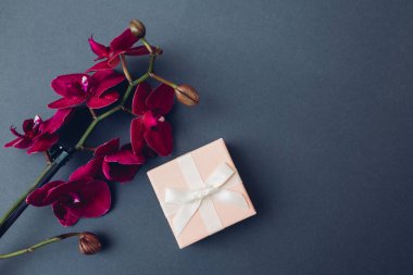 Mücevherli hediye kutusu. Gri arkaplanda kurdele ve burgundy orkide çiçekleri olan hediye kutusu. Boşluk