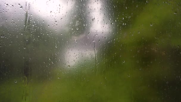 雨の水が窓ガラスに落ちる 秋の曇り風の強い雨の天気 暴風雨 — ストック動画