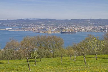 Trieste onun liman konumları ile için pastoral ön plan görüntüleyin
