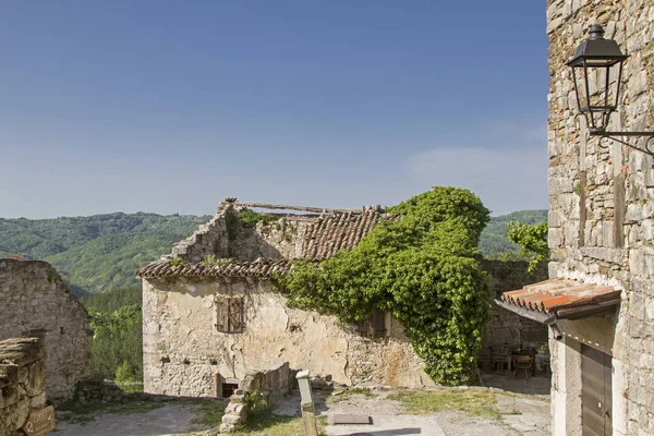 Pastoral Manzara Şiirsel Bitkilerle Büyümüş Harap Terk Edilmiş Evleri Karakterize — Stok fotoğraf