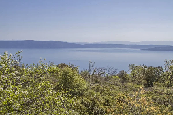 Het Schiereiland Koromacno Istrië Een Populaire Bestemming Voor Natuurliefhebbers Wandelaars — Stockfoto