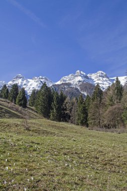 Vigolana dağlar neredeyse 2200 m o yükselmeye Trentino dağların zirveleri ile bir grubuz ve Vicentine Alps ait