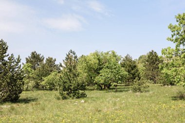 Istria iç onun pastoral manzara ile tüm yürüyüş ve dağ bisikletçileri için bir cennettir