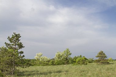 Istria iç onun pastoral kırsal bir yürüyüş ve dağ bisikletçileri için cennet ile