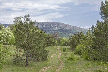 Istria iç onun pastoral manzara ile tüm yürüyüş ve dağ bisikletçileri için bir cennettir