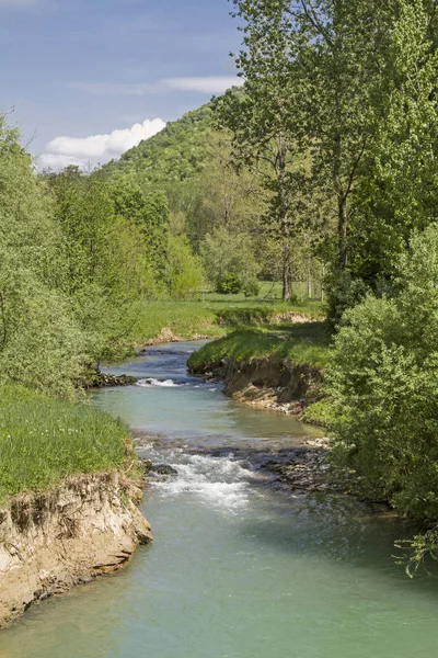 Mirna Une Rivière Long Istrie Offre Beaux Paysages Des Beautés — Photo