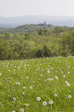 Bu cephedeki Istria sınır Hırvatistan ve Slovenya arasında çalışır