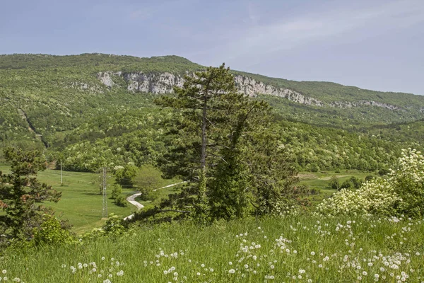 The interior of Istria with its idyllic landscape is a paradise for all hikers and mountain bikers