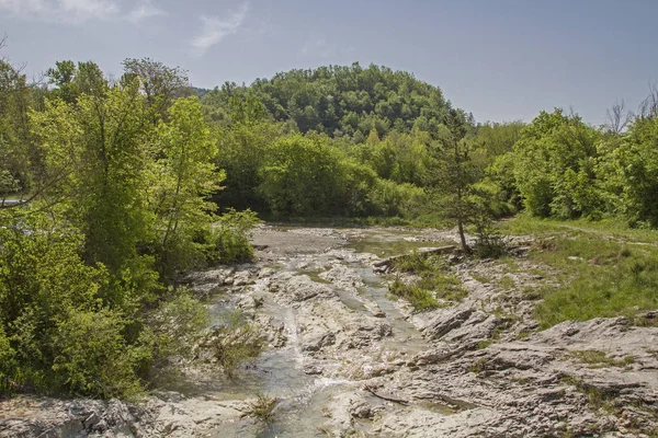 Horním Toku Řeky Mirna Istrii Najdete Mnoho Idylický Výhled — Stock fotografie