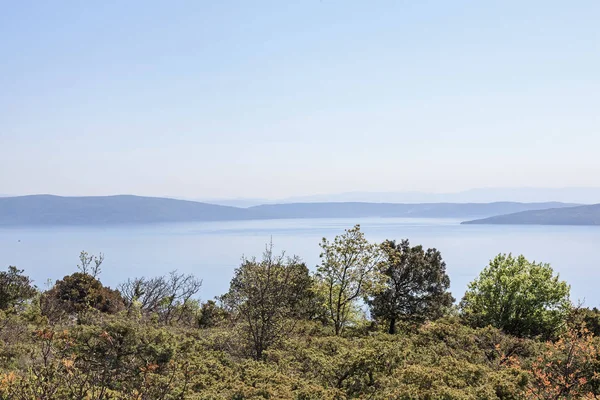 Het Schiereiland Koromacno Istrië Een Populaire Bestemming Voor Natuurliefhebbers Wandelaars — Stockfoto