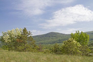 Istria iç onun pastoral kırsal bir yürüyüş ve dağ bisikletçileri için cennet ile