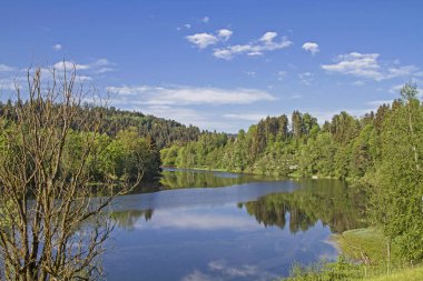 Sadece ilçe kasaba, Regen önce aynı adı taşıyan nehir pastoral Regen Gölü akar.