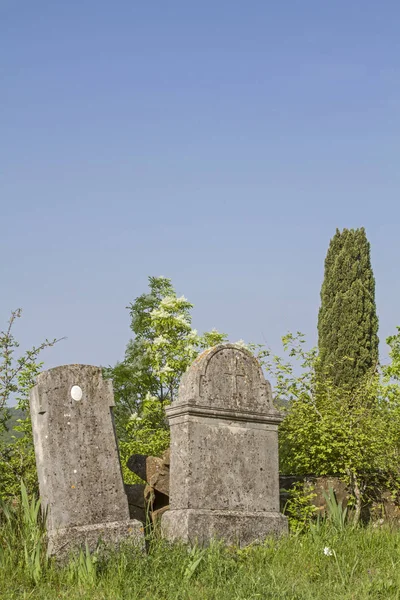 Vecchie Lapidi Nel Cimitero Abbandonato Villaggio Deserto Fatiscente Istria — Foto Stock