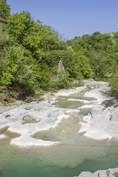 Górnym Biegu Rzeki Mirna Istria Znajdziesz Wiele Sielankowy Szczegółowe Widoki — Zdjęcie stockowe