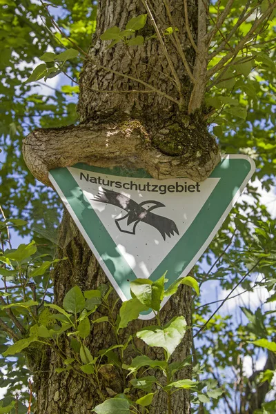 Vieux Panneau Protection Nature Cultivé Dans Arbre Dans Zone Tourbière — Photo