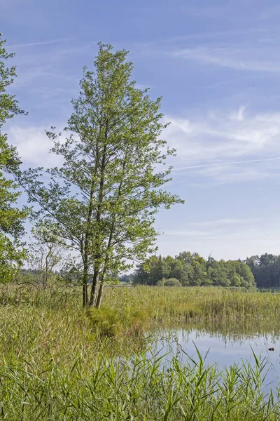 Der Ostersee Südlich Von München Ist Ein Beliebtes Ausflugsziel — Stockfoto