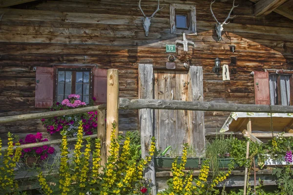 Idyllic Close Grabenbergalm Tyrolean Mangfall Mountains — Stock Photo, Image