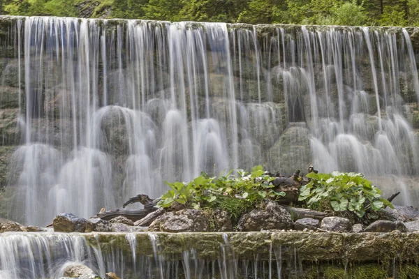 Engelleri ve brook yönetmelikler su oyunları görülmeye değer sonuç ile Grawang Upper Bavaria yakınındaki Kuehalpenbach Vadisi'nde