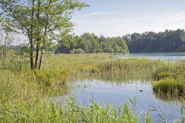 Ostersee gölleri Münih 'in güneyinde popüler bir yerdir.