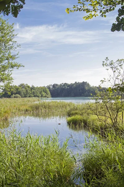 Ostersee gölleri Münih 'in güneyinde popüler bir yerdir.
