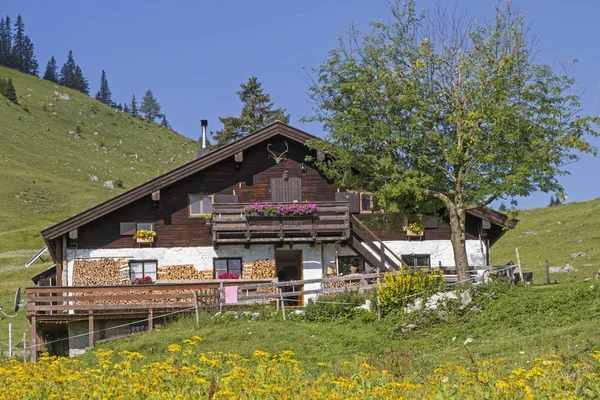 Grabenbergalm Idyllique Avec Petite Chapelle Montagne Sont Dans Partie Tyrolienne — Photo