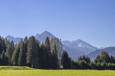 Pastoral manzara ve Forchach Lech Vadisi'nde,