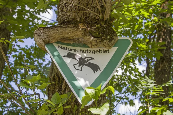 Placa Velha Proteção Natureza Crescida Árvore Área Pântano Ammerquellen Perto — Fotografia de Stock