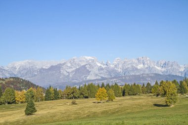 Yayla Viote Bondone dağlarda sonbahar görünümünden Brenta dağlar glaciated grup üzerinde