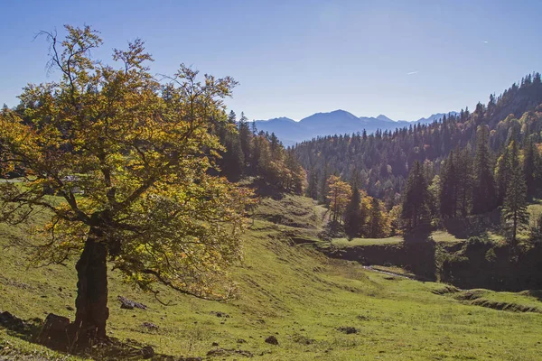 Impressions of an autumn hike on the Herzogstand