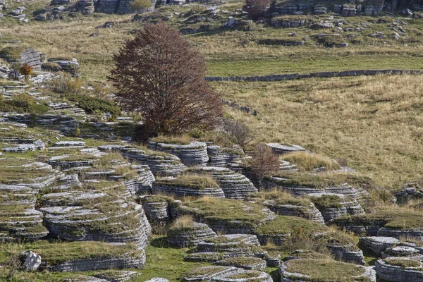 Impresionantes Formaciones Rocosas Dominan Paisaje Las Montañas Lessini — Foto de Stock