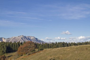 Vicentine Alps dikdörtgen arka planda Lavarone Yaylası üzerinde sonbahar manzara