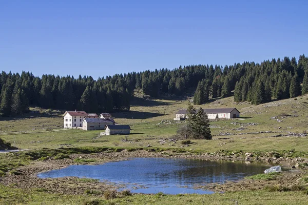 Landskap Den Vezzena Platån Kännetecknas Ängar Skogar Många Alpina Hyddor — Stockfoto