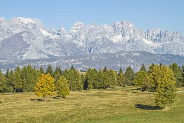 Yayla Viote Bondone Dağlarda Sonbahar Görünümünden Brenta Dağlar Glaciated Grup — Stok fotoğraf