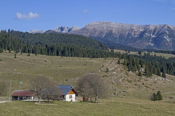 Die Landschaft Des Hochplateaus Von Vezzena Ist Geprägt Von Wiesen — Stockfoto