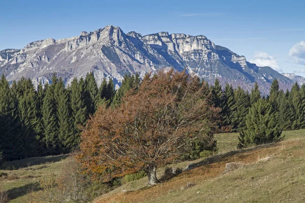Herfst Landschap Het Plateau Van Lavarone Achtergrond Een Groep Van — Stockfoto
