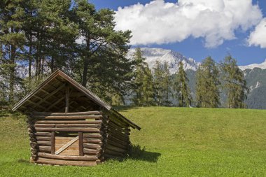 Pastoral saman kulübe Tyrol'deki / daki Mieming plato üzerinde bir dağ çayır üzerinde
