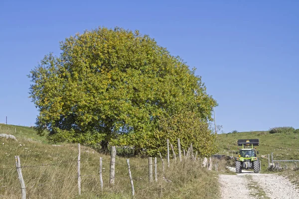 Landwirt Mit Traktor Verrichtet Seine Arbeit Auf Dem Hochplateau Des — Stockfoto