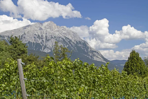 Plateau Mieminger Est Souvent Appelé Terrasse Ensoleillée Tyrol Permet Même — Photo