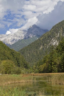 Wiesensee Gölü, Pillersee ile Hochfilzen arasında bulunan küçük ve huzurlu bir dağ gölüdür.