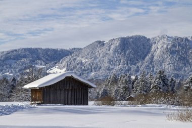 Gaissach kış - Alps kötü Toelz yakın eteklerinde bir pastoral moorland felts